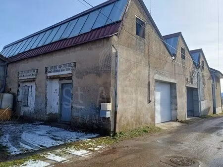 vente commerce 1 pièce 360 m² le grand-lemps (38690)
