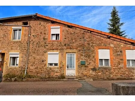 vente immeuble 120 m² cuinzier (42460)