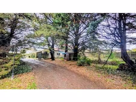 vente terrain à aigrefeuille-sur-maine (44140) : à vendre / 405m² aigrefeuille-sur-maine