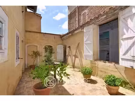 belle maison de maitre en ville - jardin