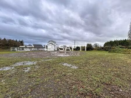 vente local industriel 1542 m² angrie (49440)