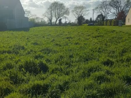 vente terrain 1685 m² allaire (56350)