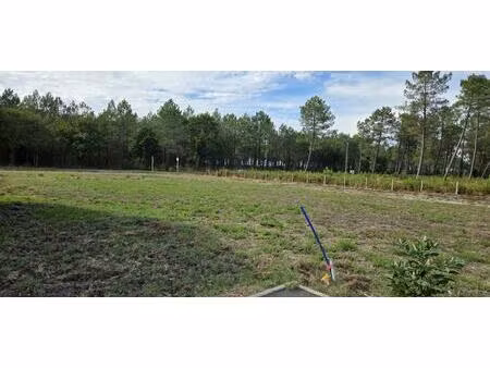 vente terrain à construire 820 m² parentis-en-born (40160)