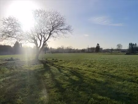 en campagne terrain a batir viabilise parigne -