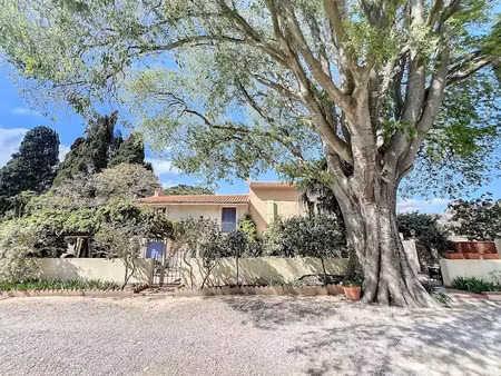 vente propriété 376 m² à villelongue-de-la-salanque (66410)  890 000 €