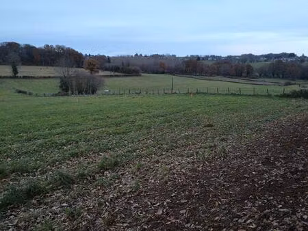 achat : terrain (19700)