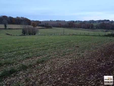 achat : terrain (19700)