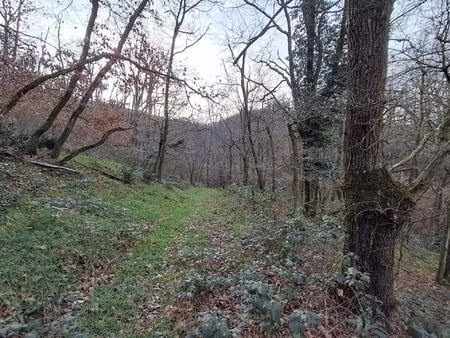 vente terrain 2330 m² chasselay (69380)