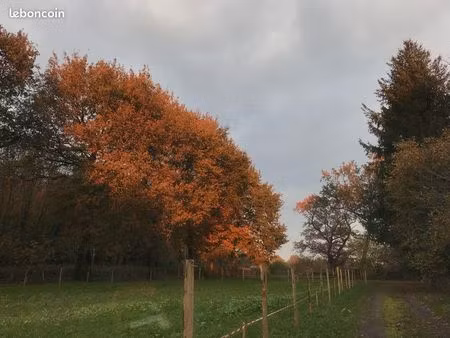 terrain agricole 8400m2