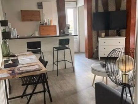 studio lumineux meublé 31m2 (location de 3 ou 4 mois)