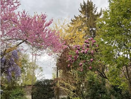 maison bourgeoise - saint-acheul