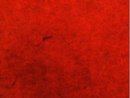 recherche t3/t4 couple marié