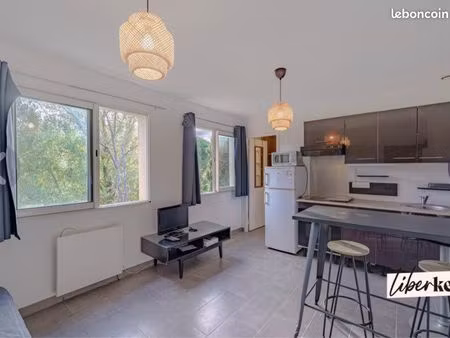 charmant studio à louer - la treille