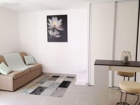 magnifique t1 lumineux  moderne et bien équipé