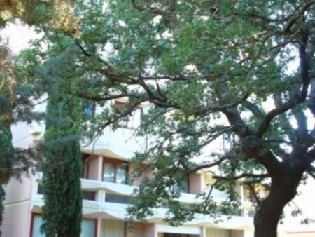 studio 1 pièce 17 m²