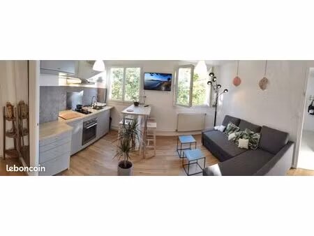 appartement 2 grandes chambres  grand séjour. très bien équipé. proche du chu et du métro.