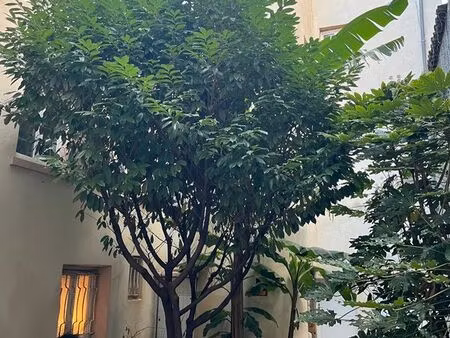 appartement 1 piece meuble croix-rousse