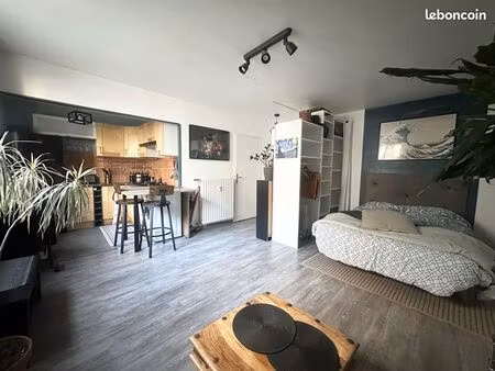 lyon 7e piscine du rhone: studio vendu libre et meuble en parfait etat ac parking