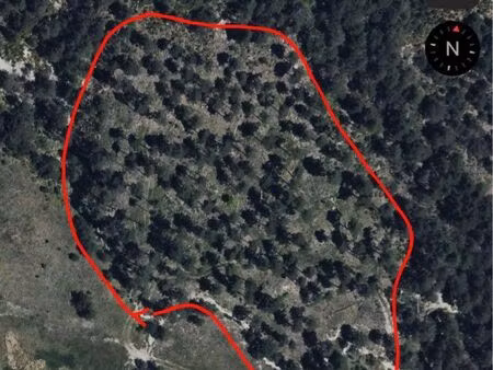 terrain forestier 13990 m2