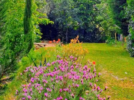 terrain avec vue sur la vallée du rhõne