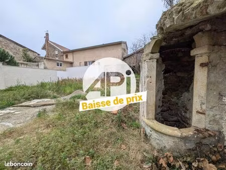 maison 487 m² condrieu