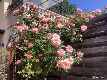 superbe maison 160 m2 entre gattieres et carros avec piscine