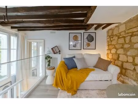 très beau studio de 24 m2 au sol  au charme résolument parisien