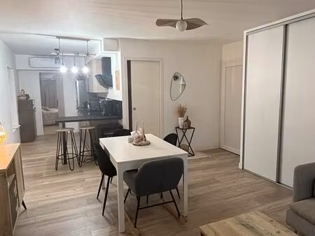 appartement rénové rdc centre ville