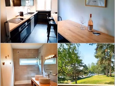 t4 double salon meublé - vue parc - ecully