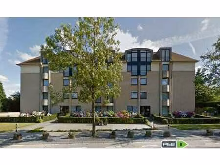 spacieux appartement trois chambres au centre de waterloo