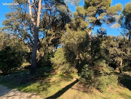 terrain 582 m² martigues