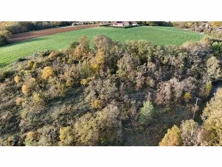 safti helstroffer cathie conseiller indépendant