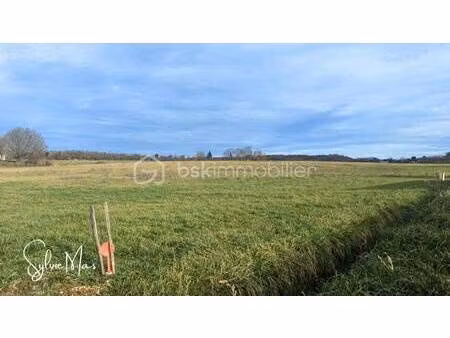 terrain constructible viabilisé à vendre