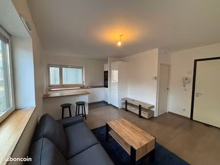 appartement 2 pièces 38 m2 meublé confluence