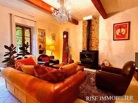 rise immobilier