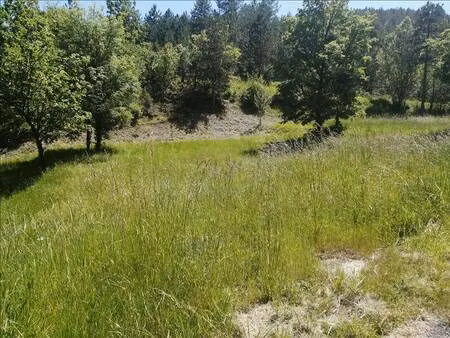 terrain constructible viabilisé à vendre