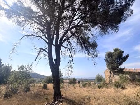 terrain constructible viabilisé à vendre