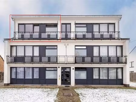 appartement à vendre à vlimmeren € 280.000 (ljkvn) - heylen vastgoed - oostmalle | zimmo