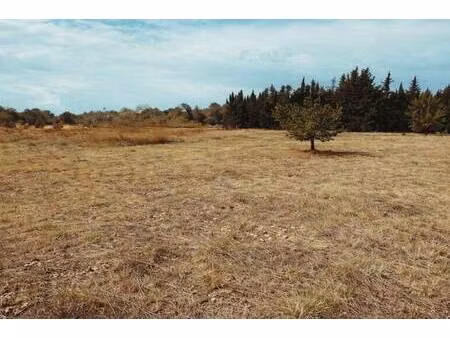 terrain constructible viabilisé à vendre