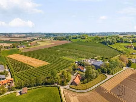 maison à vendre à kwaremont € 3.650.000 (ljlam) - office ronse | zimmo