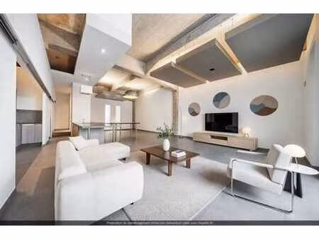 magnifique appartement style