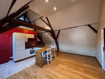 charmant appartement 1 chambre à 2 pas de la place st job