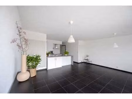 journée de visite : 11 en 15 février.