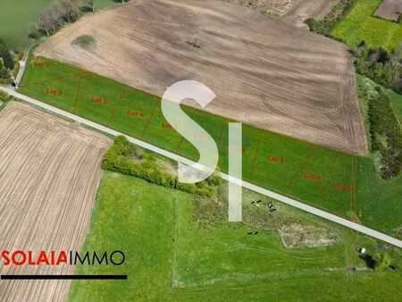 projet de promotion immobilière à longvilly (bastogne)