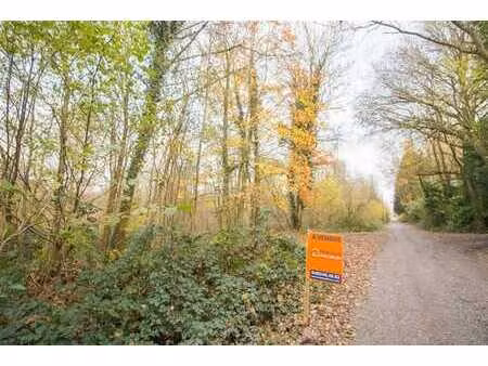 terrain forestier idéalement situé