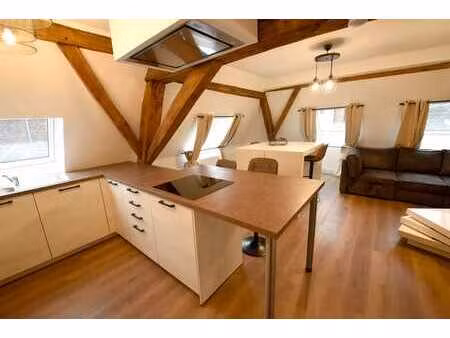 appartement lumineux en plein centre