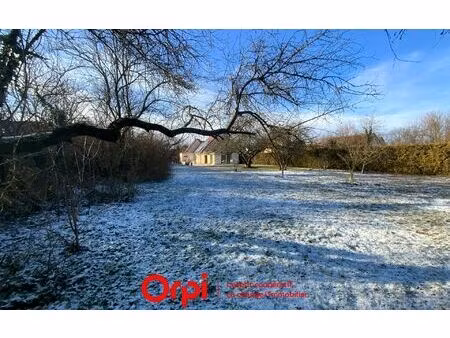 maison eschau 134.35 m² t-6 à vendre  628 300 €