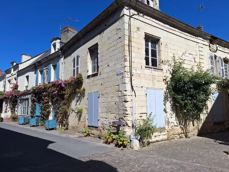 vente maison 13 pièces 265 m² fontevraud-l'abbaye (49590)