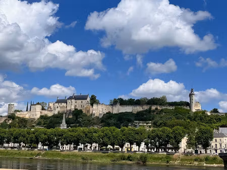 maison à vendre 7 pièces chinon (37)