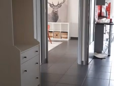 appartement meublé spacieux  lumineux avec vue